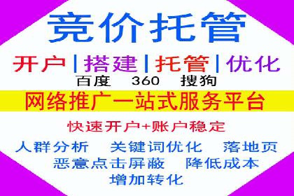 专业SEM托管公司案例分享：提升流量秘诀